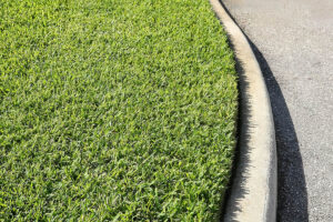 How to store sod | Twinwood Farms: high-quality plants and products for your landscape projects