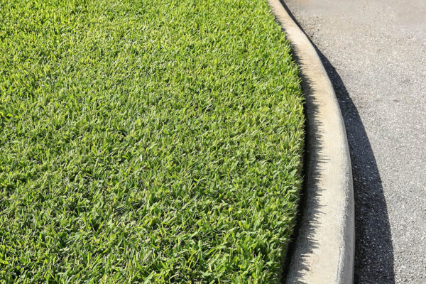 How to store sod | Twinwood Farms: high-quality plants and products for your landscape projects