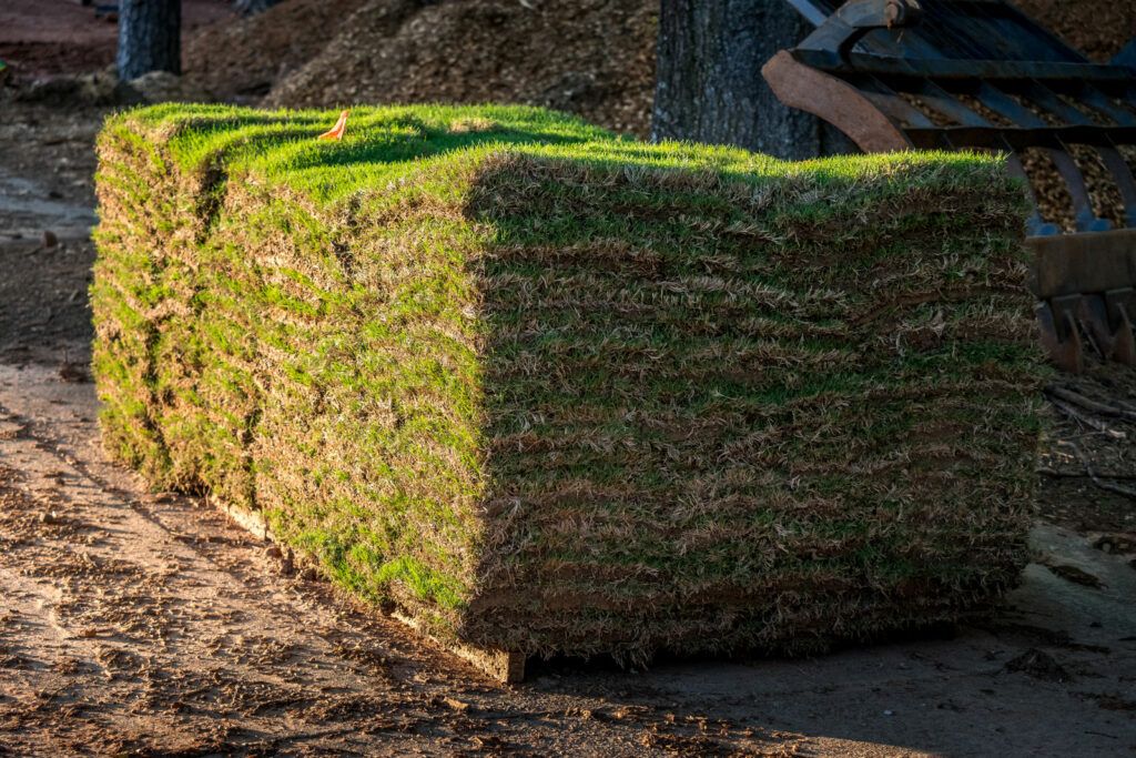 How long can you leave sod on a pallet? | Twinwood Farms: high-quality plants and products for your landscape projects