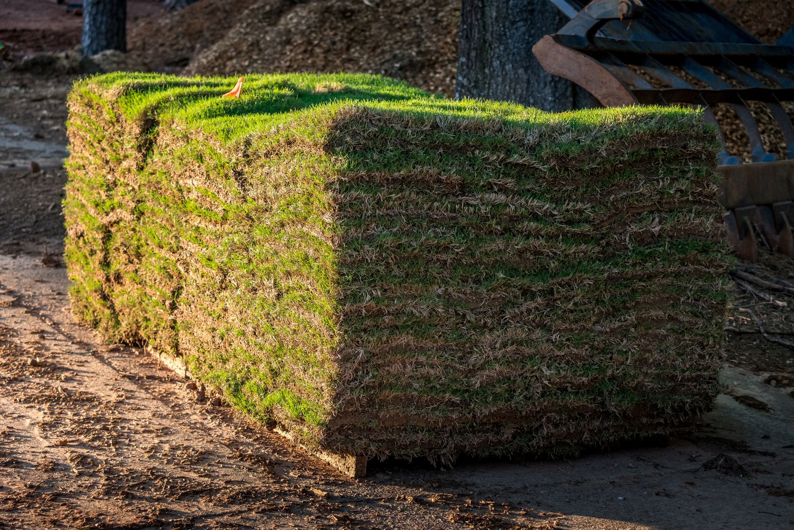 How Long Can Sod Stay on a Pallet?